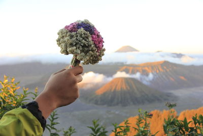 Cropped hand of woman holding flowers against sky