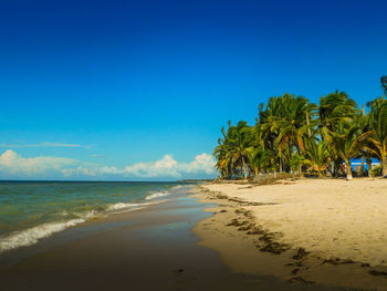 Scenic view of beach against blue sky