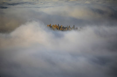 Aerial view of autumn colors with alpine sea against sky