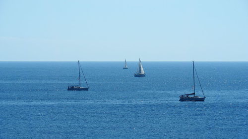 Sailboat sailing on sea against clear sky