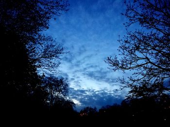 Low angle view of silhouette trees against sky at night