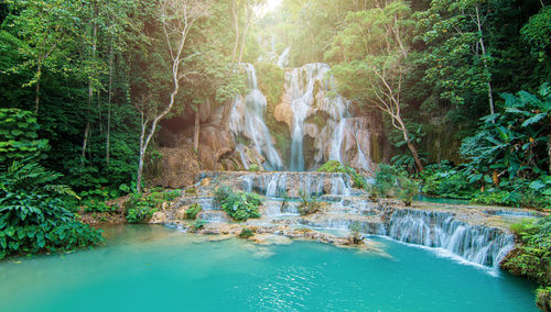 Waterfall in forest