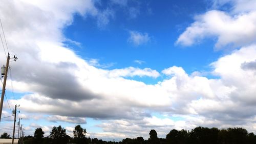 Low angle view of trees against cloudy sky