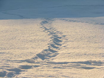 High angle view of tire tracks on beach