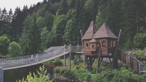 Footbridge amidst trees in forest