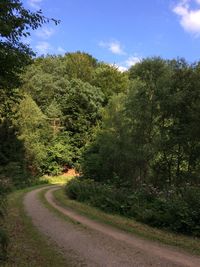 Road by trees against sky