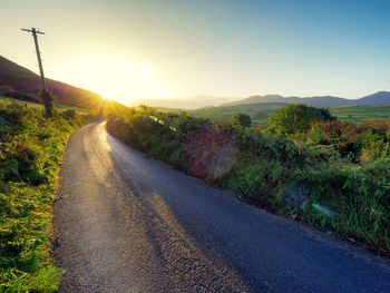 Road amidst trees against sky during sunset