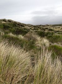 Scenic view of land against sky