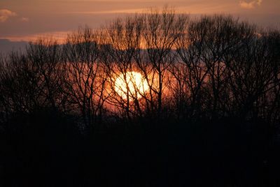 Silhouette plants by lake against sky during sunset
