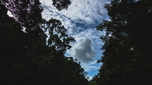 Low angle view of silhouette trees against sky