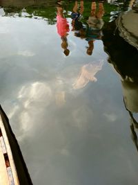 Reflection of trees in water