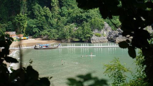 Scenic view of lake in forest