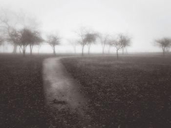 Road passing through forest