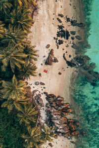High angle view of birds in sea