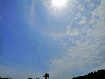 Low angle view of silhouette trees against blue sky