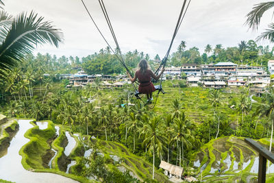 Panoramic view of palm trees and plants in city against sky