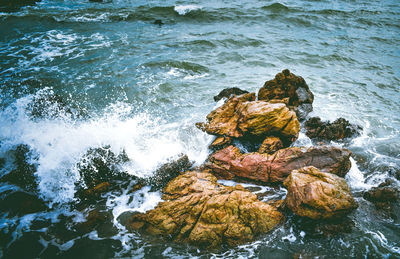 High angle view of rocks in sea
