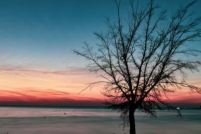 Silhouette bare tree against sky during sunset