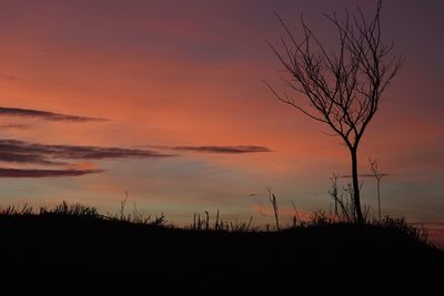 Silhouette bare trees on landscape against sky at sunset