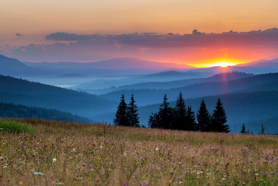 Scenic view of field against sky during sunset