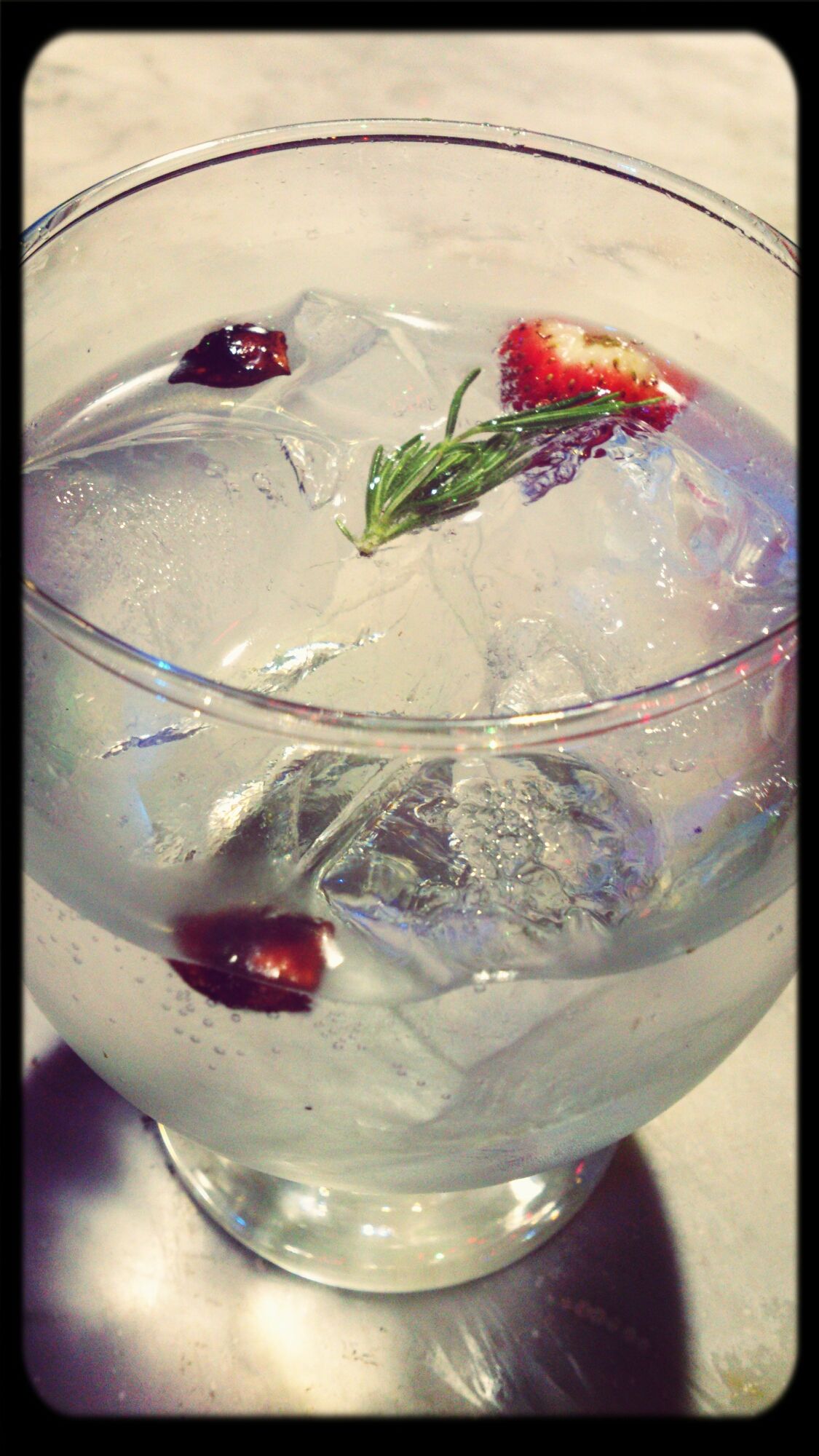 Gin & Tonic