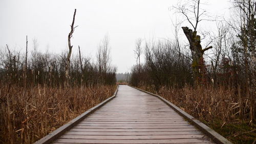 Boardwalk amidst plants on field against clear sky