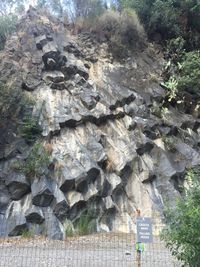 Rocks and trees on rock by building