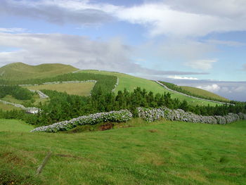 Scenic view of landscape against cloudy sky