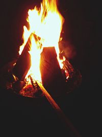 Close-up of bonfire at night