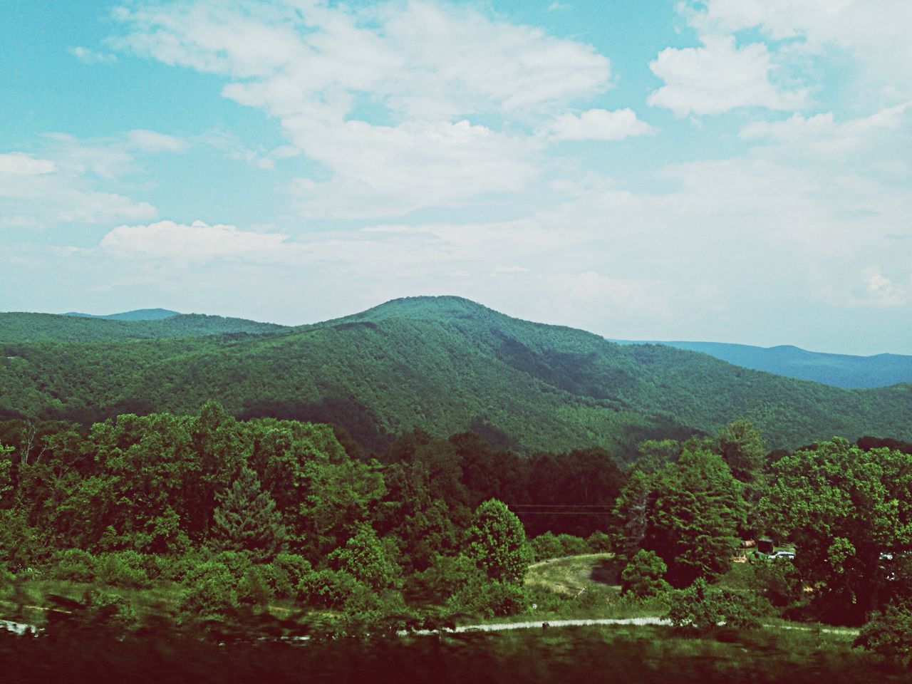 Spruce Pine