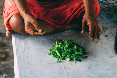 Low section of man sitting by mint leaves on table