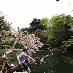Man sitting on cherry tree against lake at shinjuku gyoen