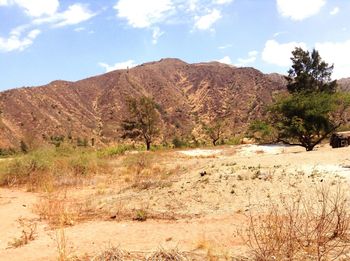 Countryside landscape against mountain range