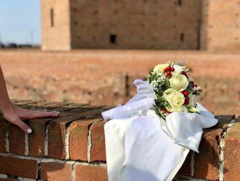 White flowering plant against wall