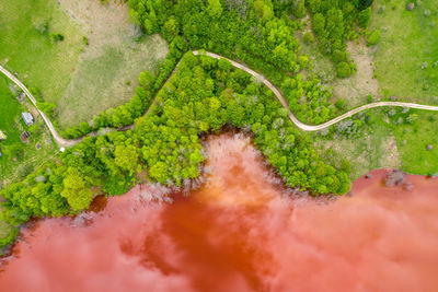 High angle view of road amidst trees