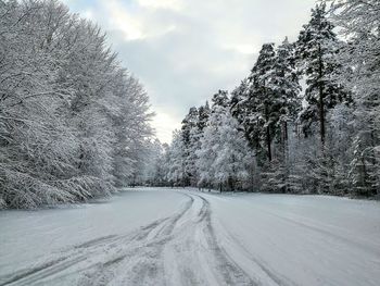 Snow covered road by trees against sky