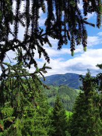 Scenic view of tree mountains against sky