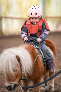 Close-up of horse