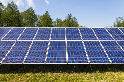 Solar panels on grassy field