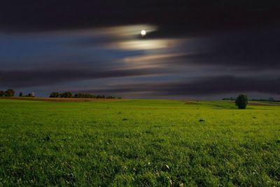 Scenic view of grassy field against cloudy sky