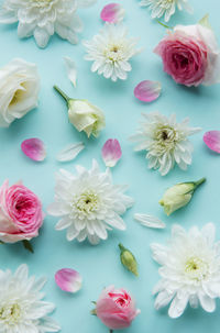 Pink and white flowers on pastel blue background.