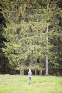 Rear view of woman standing by plants