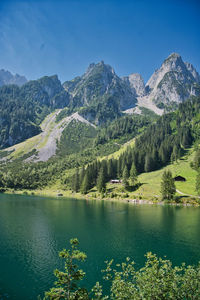 Scenic view of lake by trees against sky