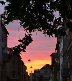 Low angle view of silhouette trees against sky during sunset