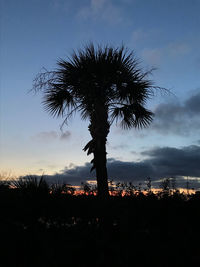 Silhouette palm trees against sky during sunset