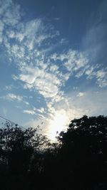 Low angle view of silhouette trees against sky during sunset