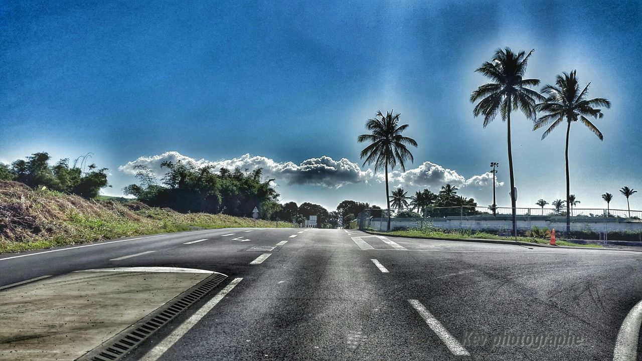 road, transportation, the way forward, road marking, tree, sky, palm tree, diminishing perspective, street, car, vanishing point, cloud - sky, blue, country road, cloud, land vehicle, empty road, asphalt, empty, no people