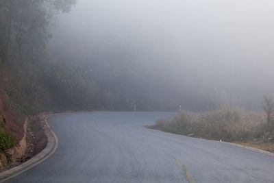 Empty road amidst trees during rainy season