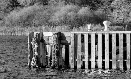 Wooden post in a lake