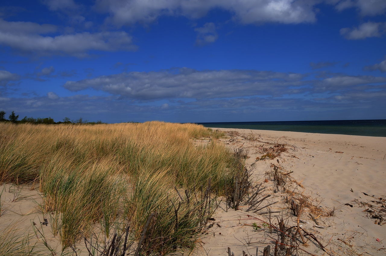 Baltic sea beach